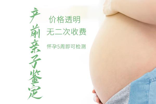 甘南父亲和肚中宝宝如何做亲子鉴定,甘南产前亲子鉴定结果到底准不准确